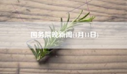 国务院晚新闻(4月11日)