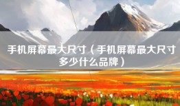 手机屏幕最大尺寸（手机屏幕最大尺寸多少什么品牌）
