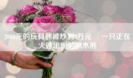2000元的玩具熊被炒到3万元  一只正在火速出圈的积木熊