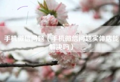 手机微信问题（手机微信问题实体店能解决吗）