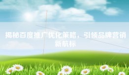 揭秘百度推广优化策略，引领品牌营销新航标