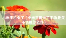 小米手机卡了（小米手机卡了不动,也关不了机怎么办）