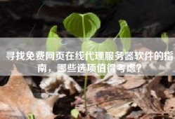 寻找免费网页在线代理服务器软件的指南，哪些选项值得考虑？