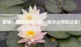 警惕！美国国会正憋一部涉台危险法案！