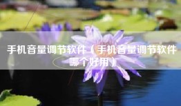 手机音量调节软件（手机音量调节软件哪个好用）