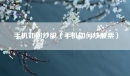 手机如何炒股（手机如何炒股票）