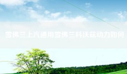 雪佛兰上汽通用雪佛兰科沃兹动力如何