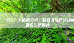 “双11”大数据分析：新经济成跨越胡焕庸线的新期待