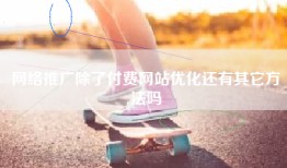 网络推广除了付费网站优化还有其它方法吗