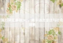 流行词汇最新2017，揭示语言变迁与社会现象