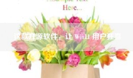 这款开源软件，让 Win11 用户狂喜
