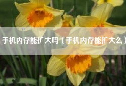 手机内存能扩大吗（手机内存能扩大么）