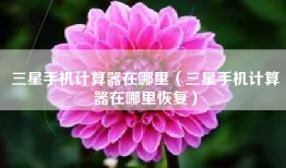 三星手机计算器在哪里（三星手机计算器在哪里恢复）