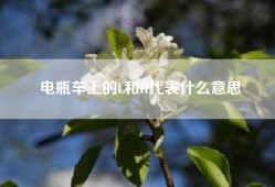 电瓶车上的L和H代表什么意思