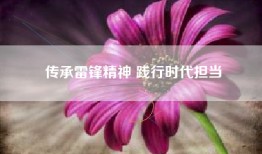 传承雷锋精神 践行时代担当