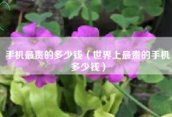 手机最贵的多少钱（世界上最贵的手机多少钱）