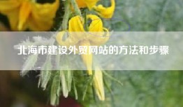 北海市建设外贸网站的方法和步骤