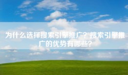 为什么选择搜索引擎推广？搜索引擎推广的优势有哪些？