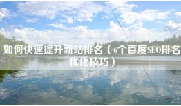 如何快速提升新站排名（6个百度SEO排名优化技巧）