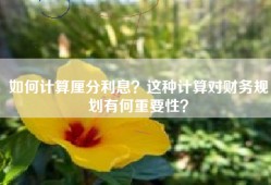 如何计算厘分利息？这种计算对财务规划有何重要性？