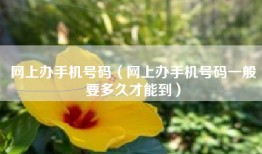 网上办手机号码（网上办手机号码一般要多久才能到）