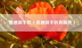 普通屏手机（普通屏手机有哪些）