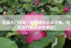 黑客入门指南：打造酷炫安卓环境，轻松进行移动渗透测试！