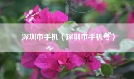 深圳市手机（深圳市手机号）
