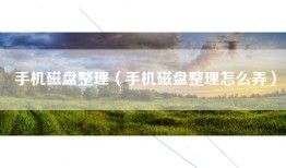 手机磁盘整理（手机磁盘整理怎么弄）