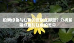 股票绿色与红色的区别在哪里？分析股票绿色与红色的差异