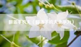 翻盖手机大（翻盖手机大全华为）