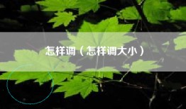 怎样调（怎样调大小）