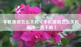手机黑屏怎么关机（手机黑屏怎么关机闹钟一直不响）