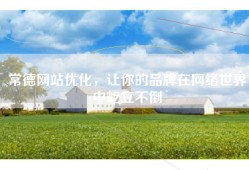 常德网站优化，让你的品牌在网络世界中屹立不倒