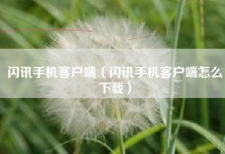 闪讯手机客户端（闪讯手机客户端怎么下载）