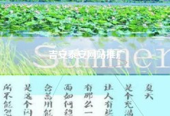 吉安泰安网站推广