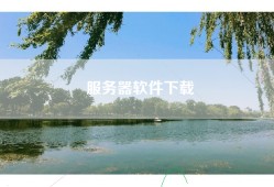 服务器软件下载
