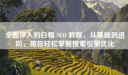 全面深入的白帽 SEO 教程，从基础到进阶，带你轻松掌握搜索引擎优化