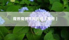 魔兽魔兽手机游戏「魔兽」