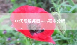 TCP代理服务器proxy程序分析