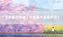 手机最大音量（手机最大音量多少）