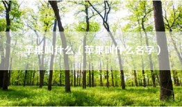苹果叫什么（苹果叫什么名字）