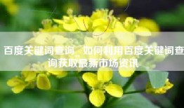 百度关键词查询_ 如何利用百度关键词查询获取最新市场资讯