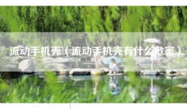 流动手机壳（流动手机壳有什么危害）