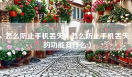 怎么防止手机丢失（怎么防止手机丢失的功能有什么）