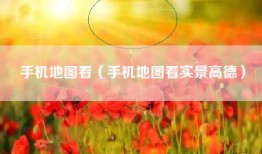 手机地图看（手机地图看实景高德）