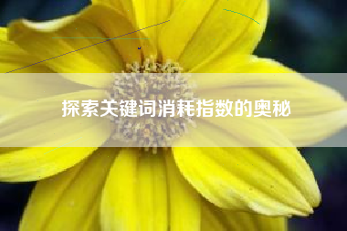 探索关键词消耗指数的奥秘