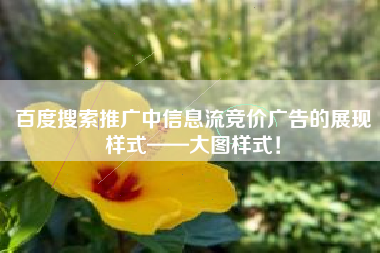 百度搜索推广中信息流竞价广告的展现样式——大图样式！