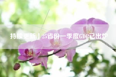 持续更新丨25省份一季度GDP已出炉