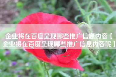 企业将在百度呈现哪些推广信息内容【企业将在百度呈现哪些推广信息内容呢】